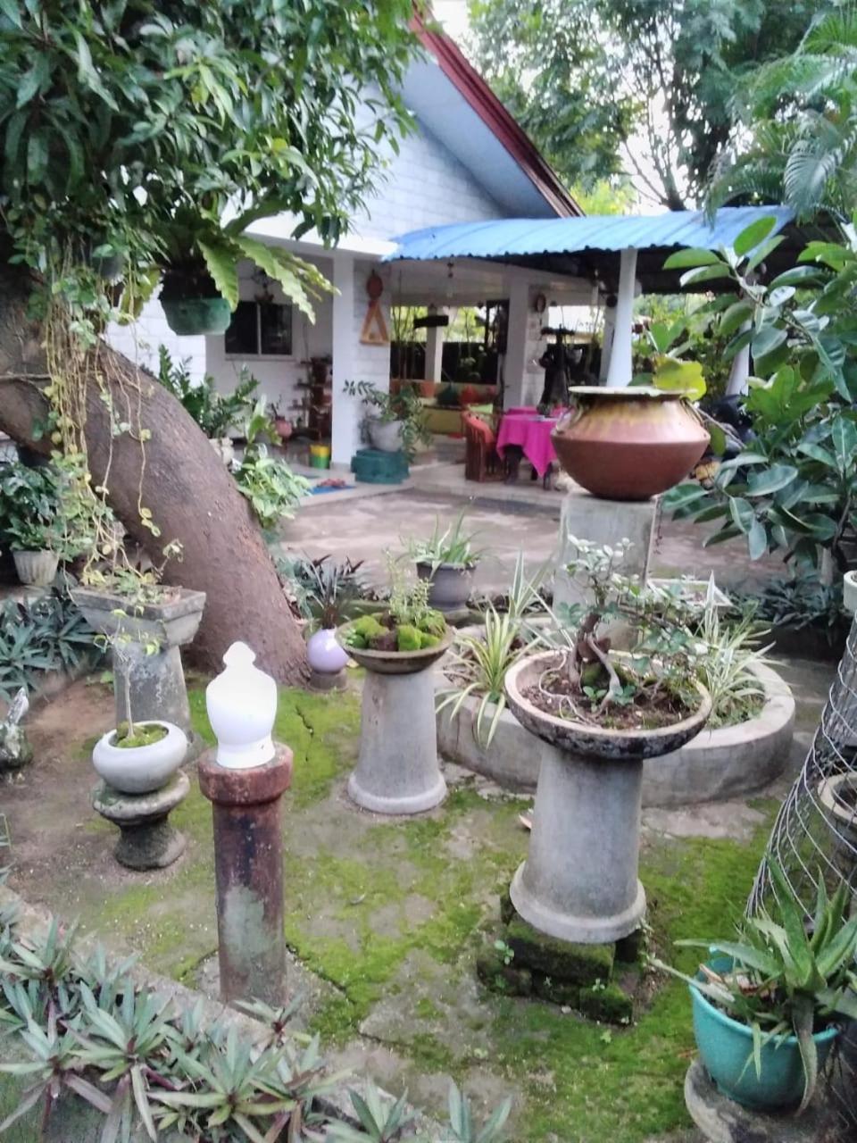 Rock Cascade Tourist Home & Cookery School Polonnaruwa Exterior foto